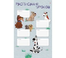 Расписание