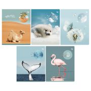 Тетрадь 96л. А5, клетка BG «Естественная среда»,  soft-touch ламинация Т5ск96_сф 59375