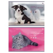 Альбом для рисования 40л., А4, на скрепке BG «Котик и собачка» АР4ск40 59520