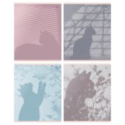 Тетрадь 48л., А5, клетка BG «Тени»  soft-touch ламинация Т5ск48_лс 08796