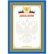 Диплом мелованный картон, тиснение фольгой BDP_6527