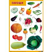 Плакат Овощи А2 МС10166